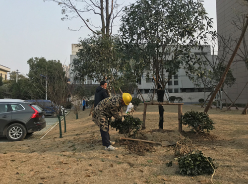 IE浏览器中点击图片可全屏显示