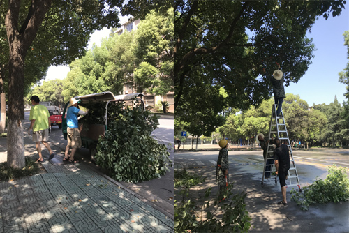 IE浏览器中点击图片可全屏显示