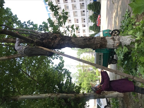 IE浏览器中点击图片可全屏显示