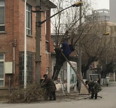 IE浏览器中点击图片可全屏显示