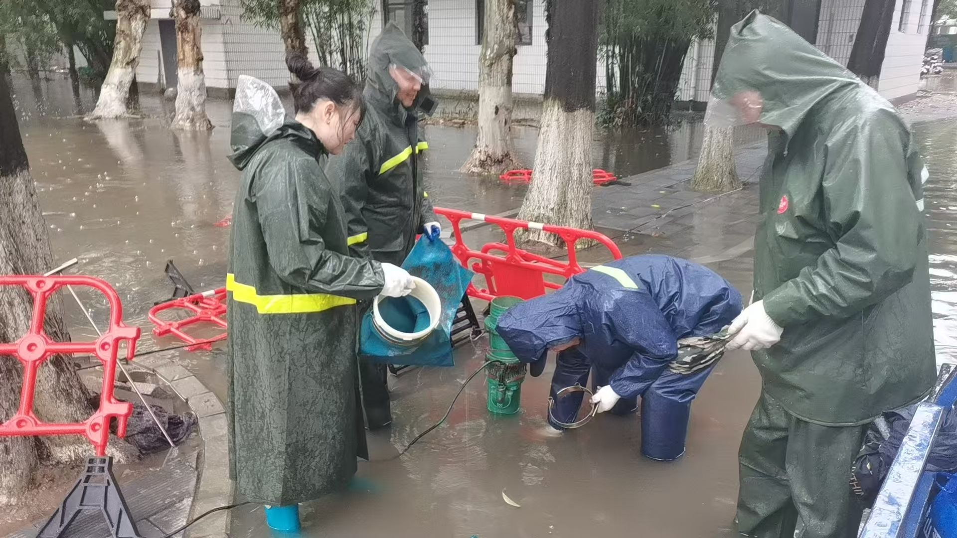 伟德体育