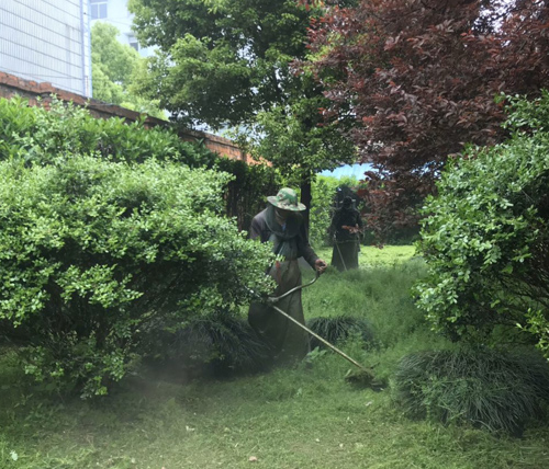 IE浏览器中点击图片可全屏显示