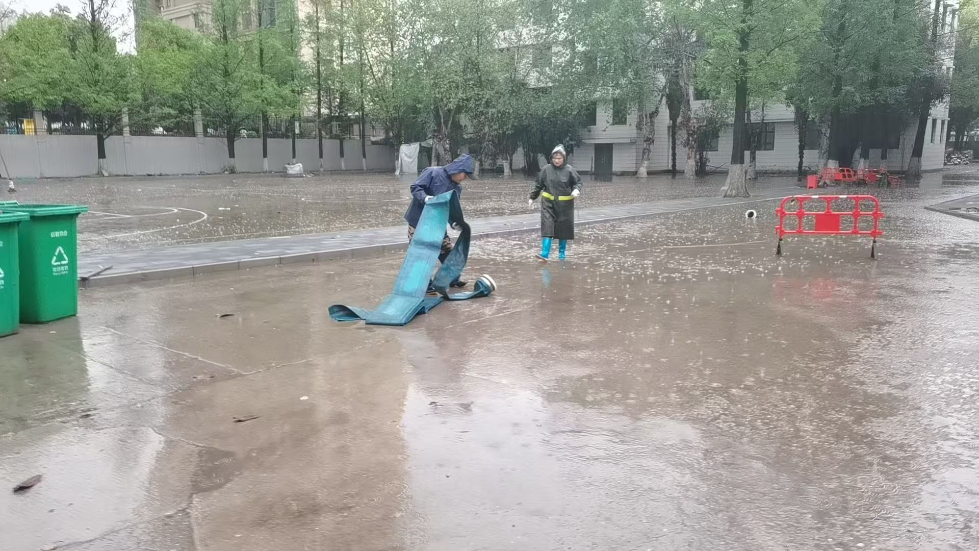 伟德体育