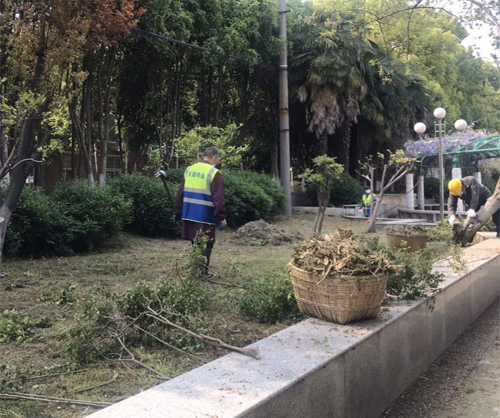 IE浏览器中点击图片可全屏显示