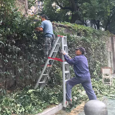 IE浏览器中点击图片可全屏显示