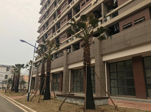 IE浏览器中点击图片可全屏显示