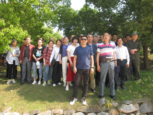 IE浏览器中点击图片可全屏显示