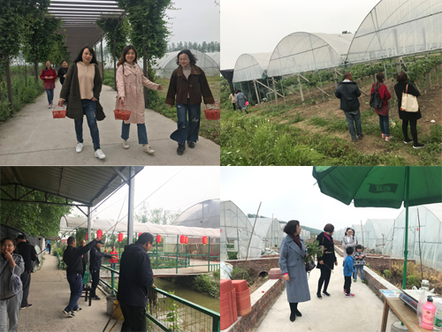 IE浏览器中点击图片可全屏显示