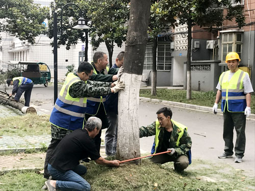 IE浏览器中点击图片可全屏显示