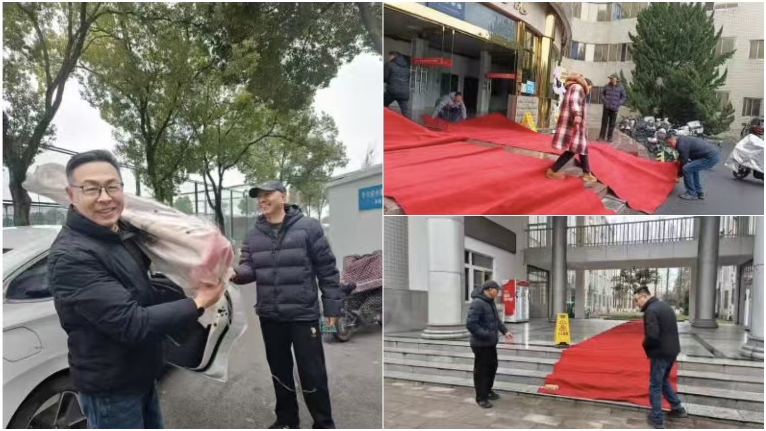 伟德体育