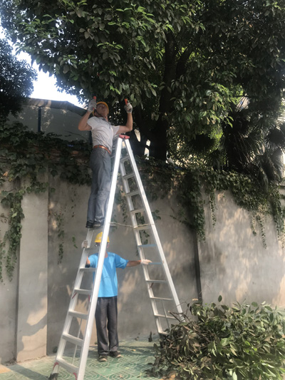 IE浏览器中点击图片可全屏显示