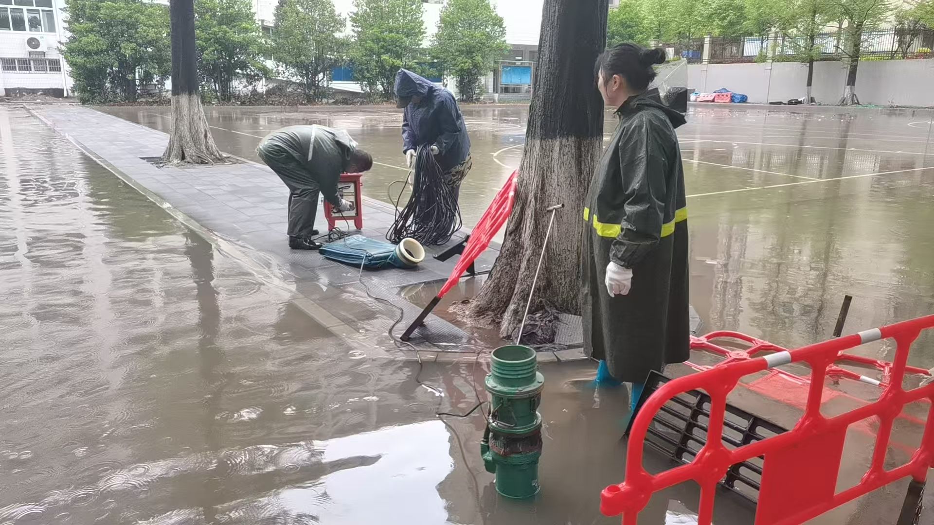 伟德体育