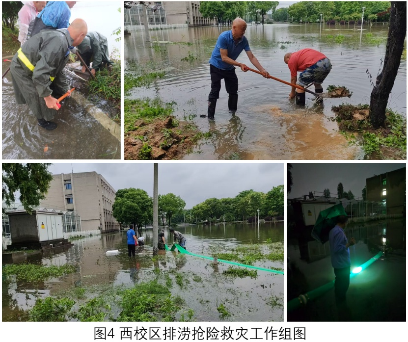 伟德体育