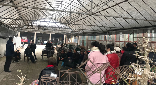 IE浏览器中点击图片可全屏显示