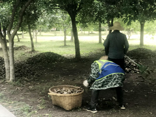 IE浏览器中点击图片可全屏显示