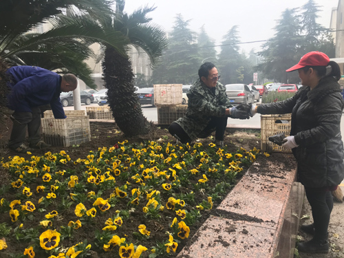 IE浏览器中点击图片可全屏显示